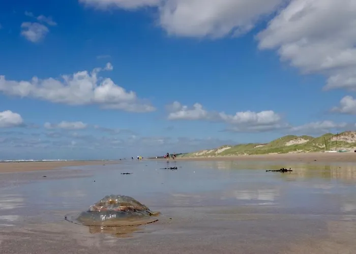 Droomvakanties Egmond Speijk Appartement Egmond aan Zee